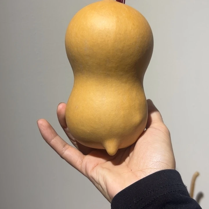 小***～天然新皮财包葫芦