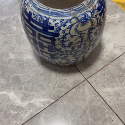 杂色豆（科檀/科特迪瓦檀木）山*人