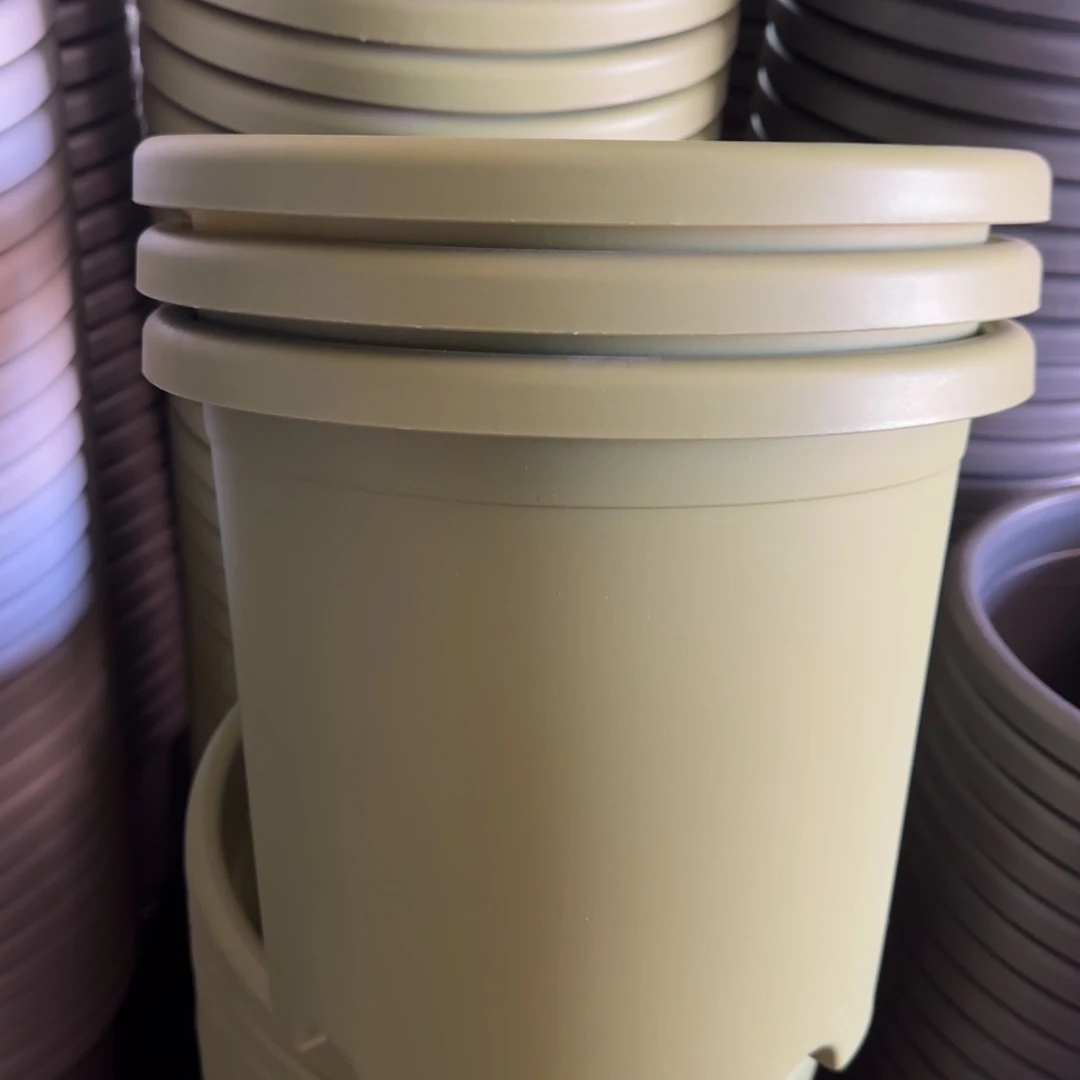 树脂特价5#无拖果绿3个