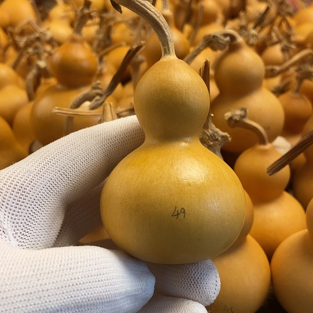 文玩葫芦 完美主义者 慎拍49