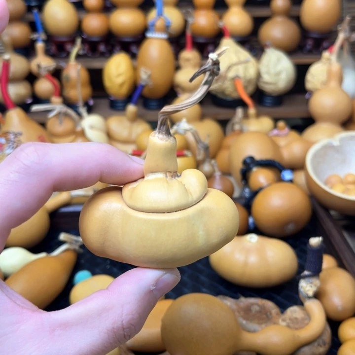 元宝钱袋子厚皮不响籽22