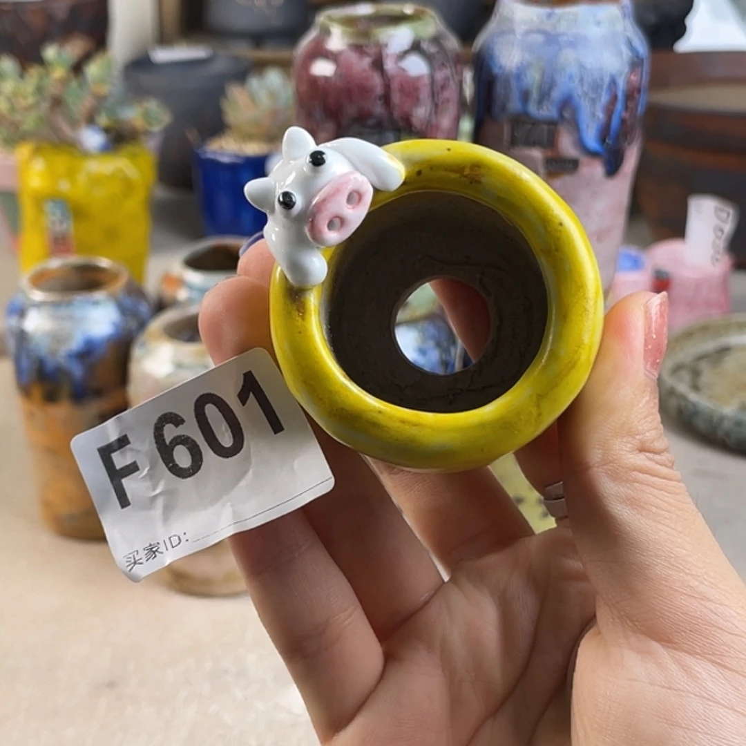 小白孤品 猪猪皮 立体 内口3.5 百搭
