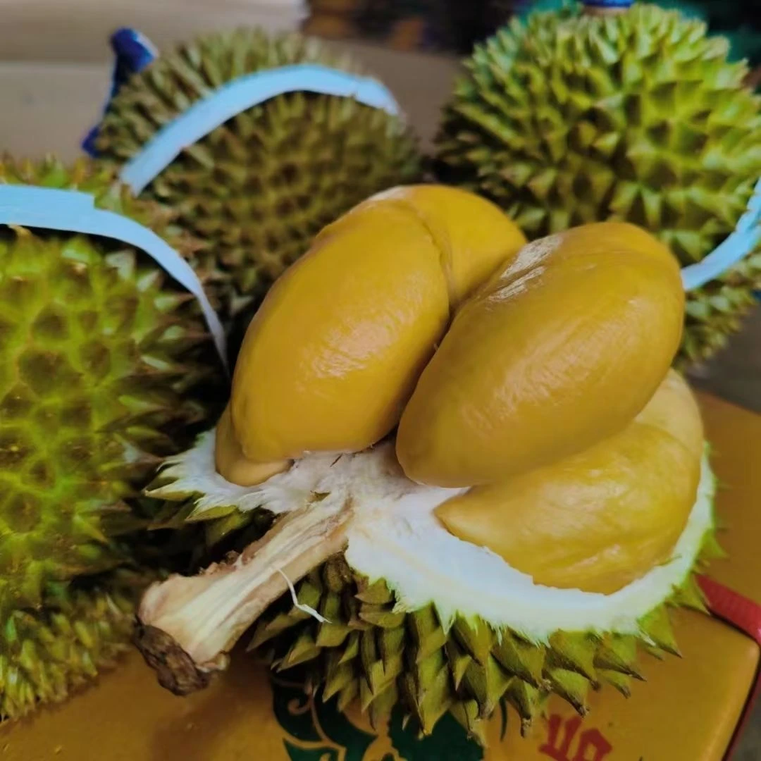 青尼榴莲 鲜榴莲 一物一拍