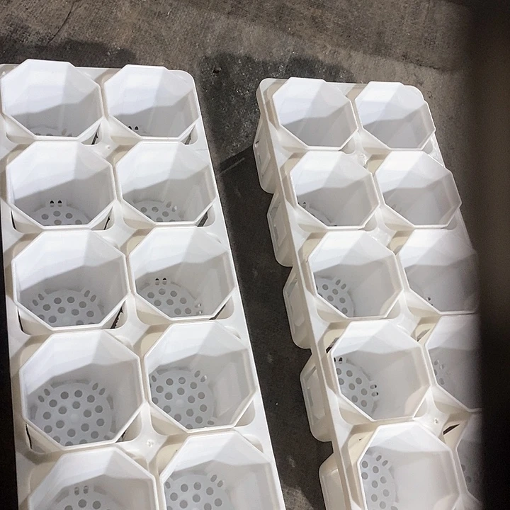 红陶7公分八角盆20个含托架