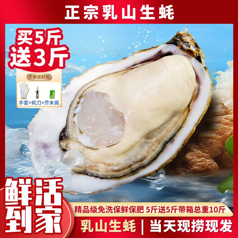 【精选6x乳山生蚝】正宗乳山生蚝原产地8斤牡蛎精品蚝