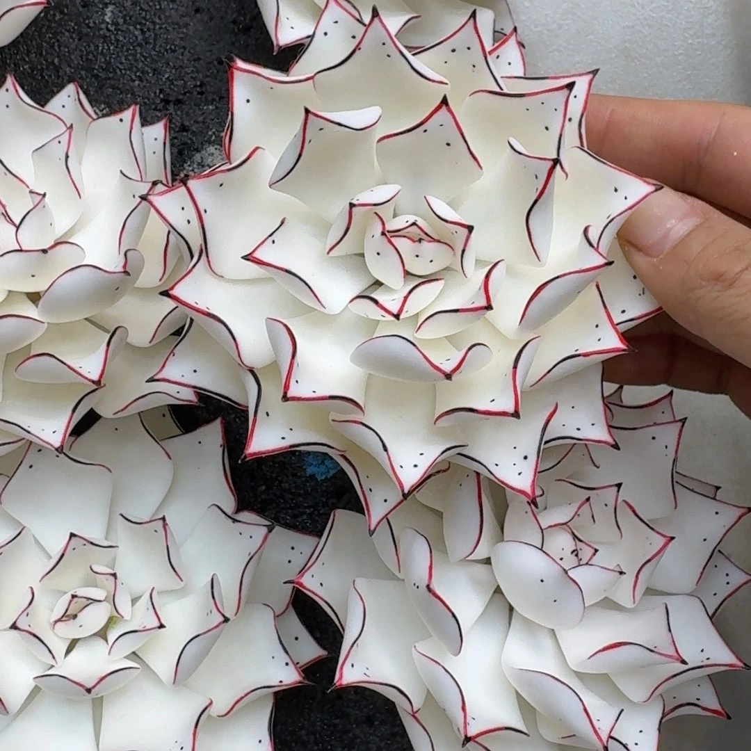 树脂制品69号噢噢噢噢