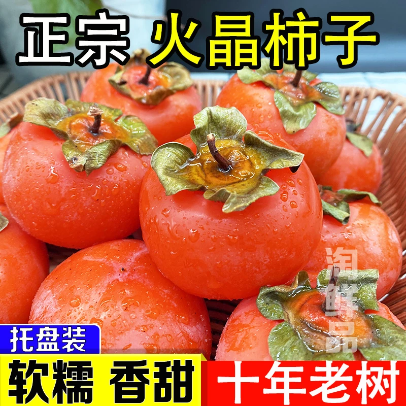 软柿子新鲜火晶柿子爆甜软柿子当季火晶柿金钱蜜柿软甜无核小柿子