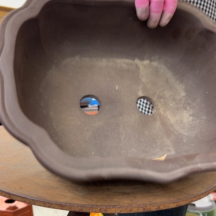 39莲花花盆花盆花盆花盆花盆