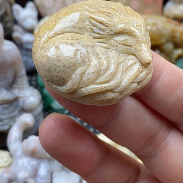 硅化珊瑚（珊瑚玉）颈饰未镶嵌