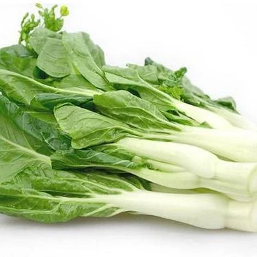 广西桂林农家白菜心