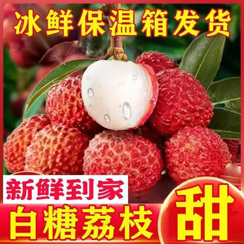 正宗现摘广东妃子笑白糖罂荔枝新鲜薄皮水果糯米糍冷链运输
