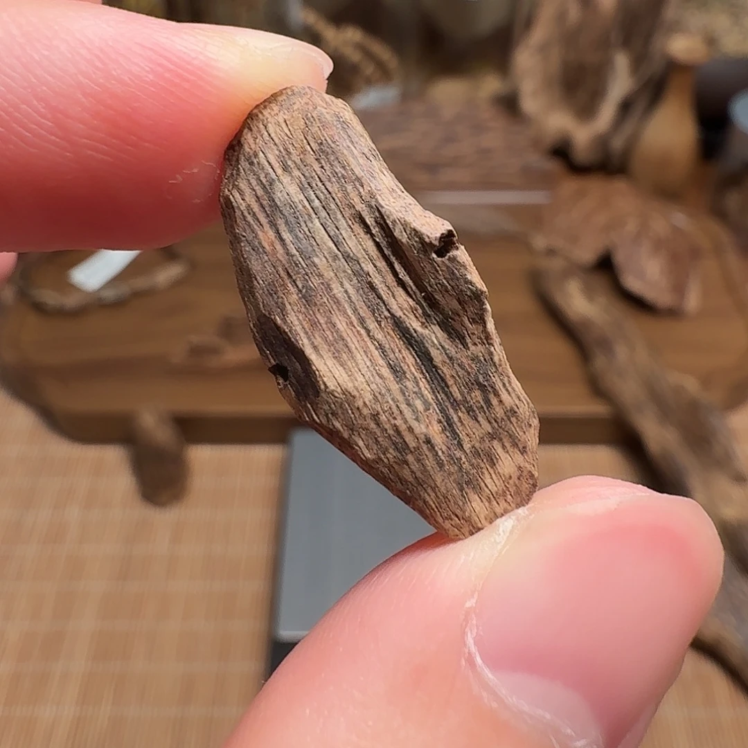 沉香斯里兰卡瓜子