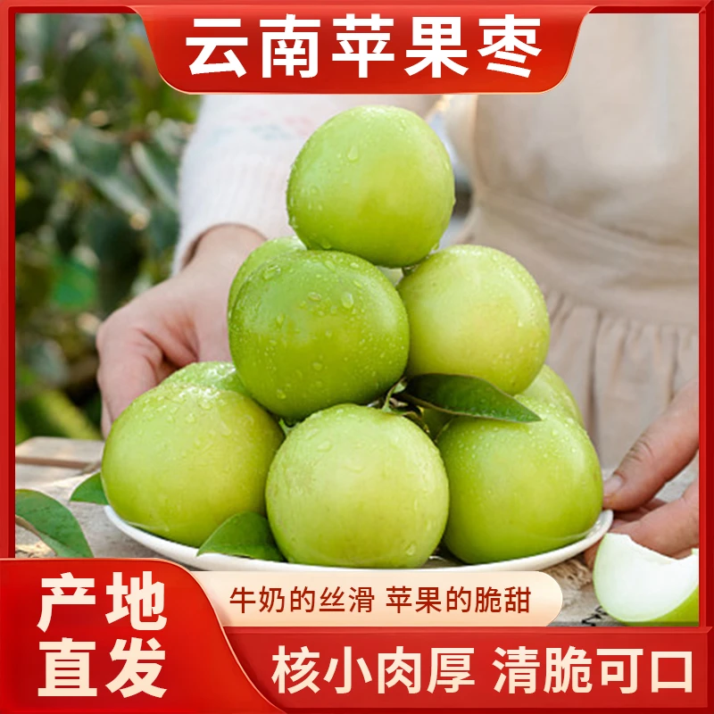 【顺丰冷链】云南正宗苹果枣现摘现发口感脆甜原产地直发苹果枣