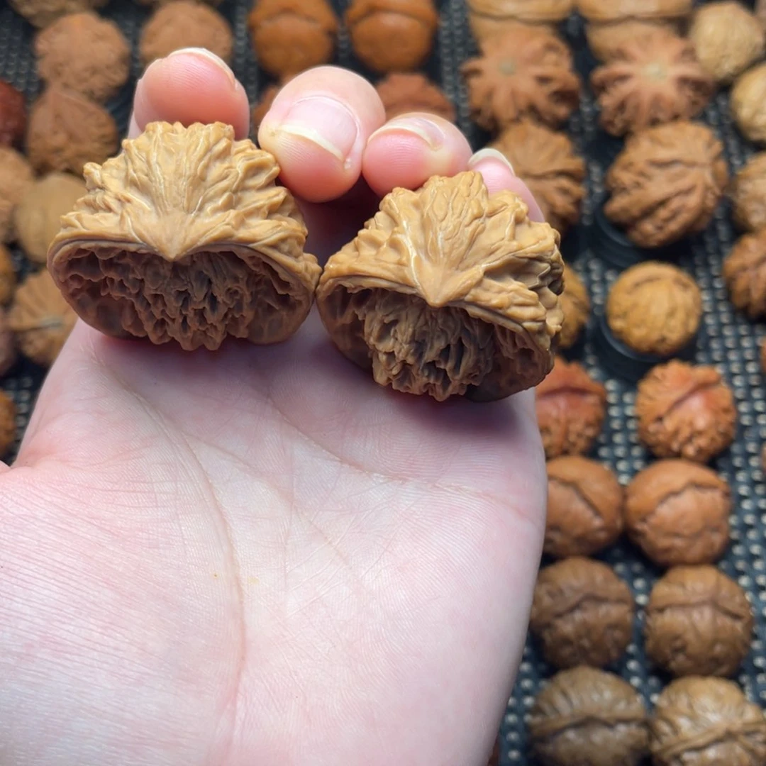 文玩把件野生蛇头