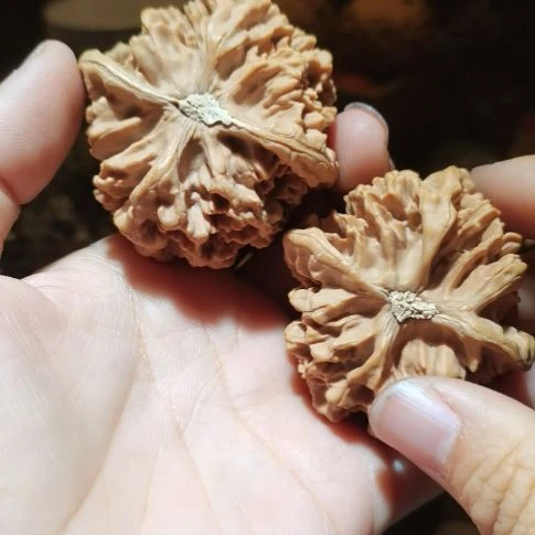 猴头核桃吊坠用****652帝王