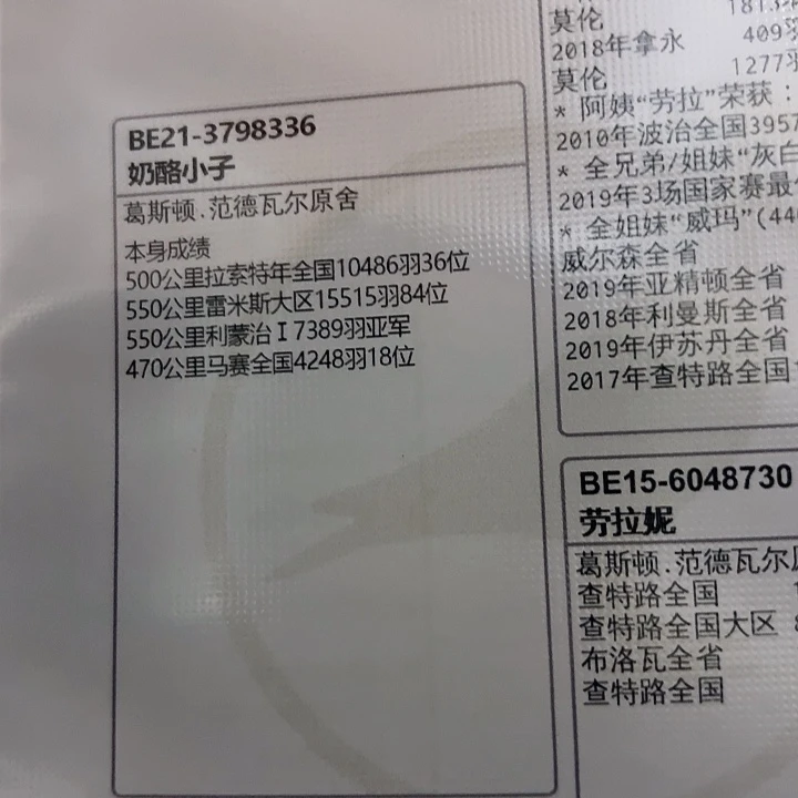 血统书血统书血统书