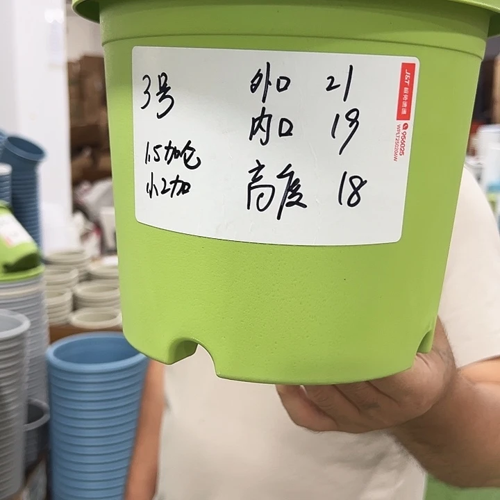 特价3号四季口21高18混色10个无托