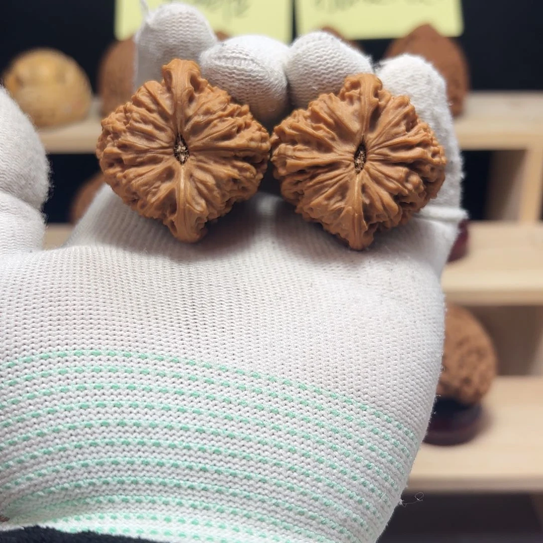 文玩核桃把件W*(涿鹿南将