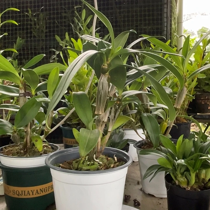 完全开放无需担心