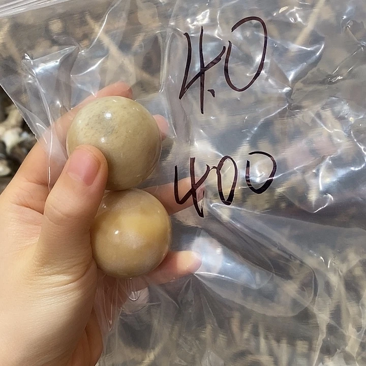 一****无非金属鹿角鹿角鹿角鹿角