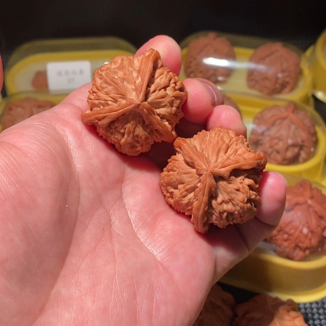 39+白狮子正球奔精品对