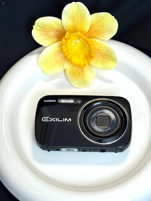 9新 Casio/卡西欧 卡西欧n2 1600万像素 自带美颜 冷白皮ccd