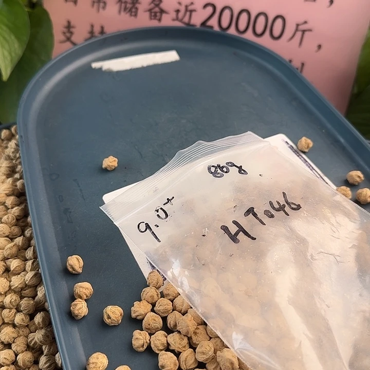 老***鸡吊坠柏香籽/百香籽9+85克HT046