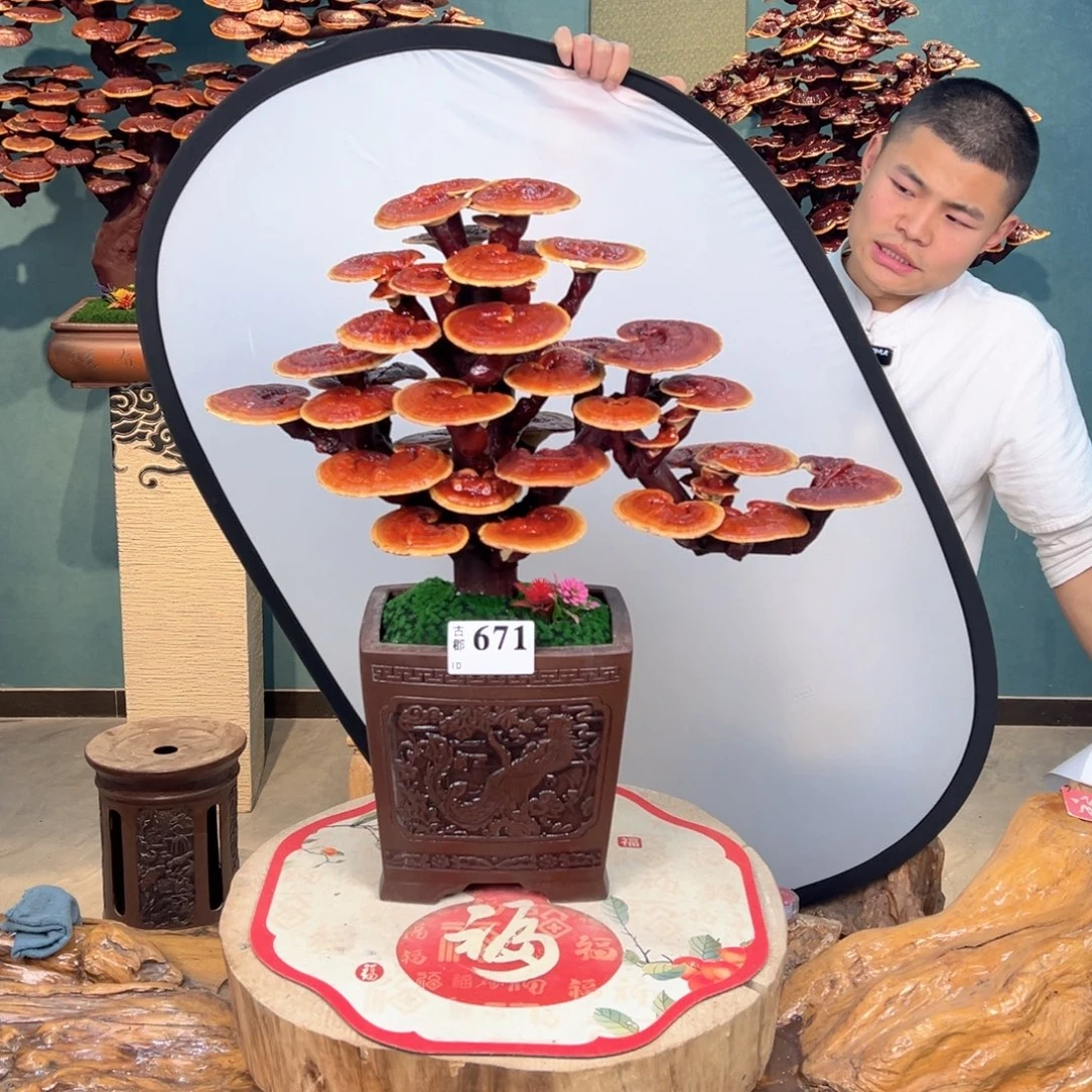 无花朵88888888888