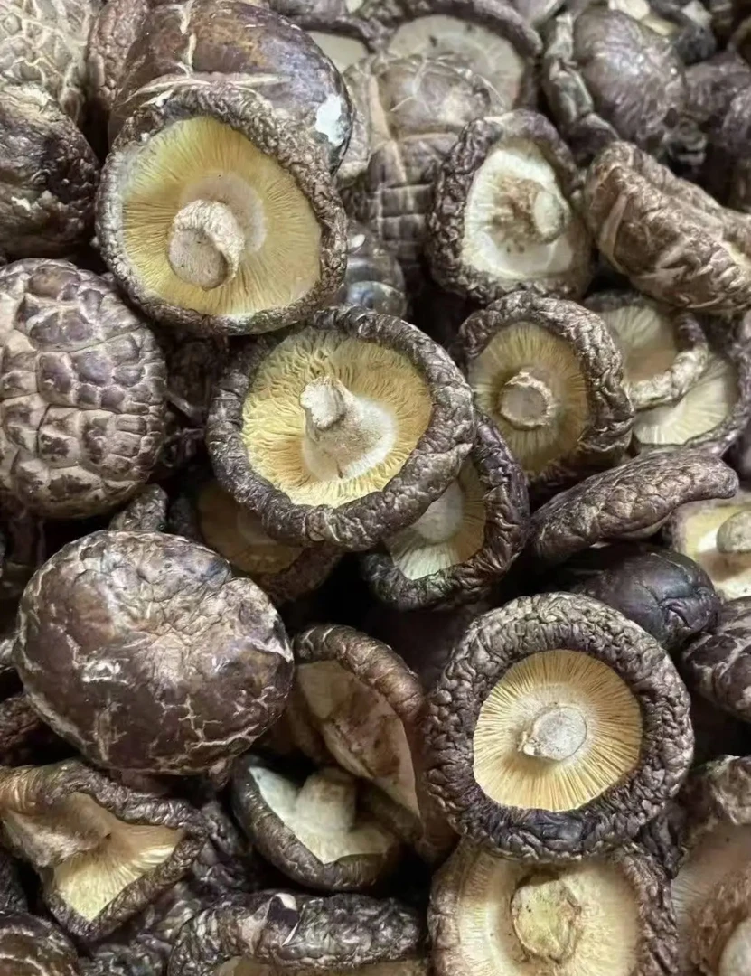 严选雅货香菇500g