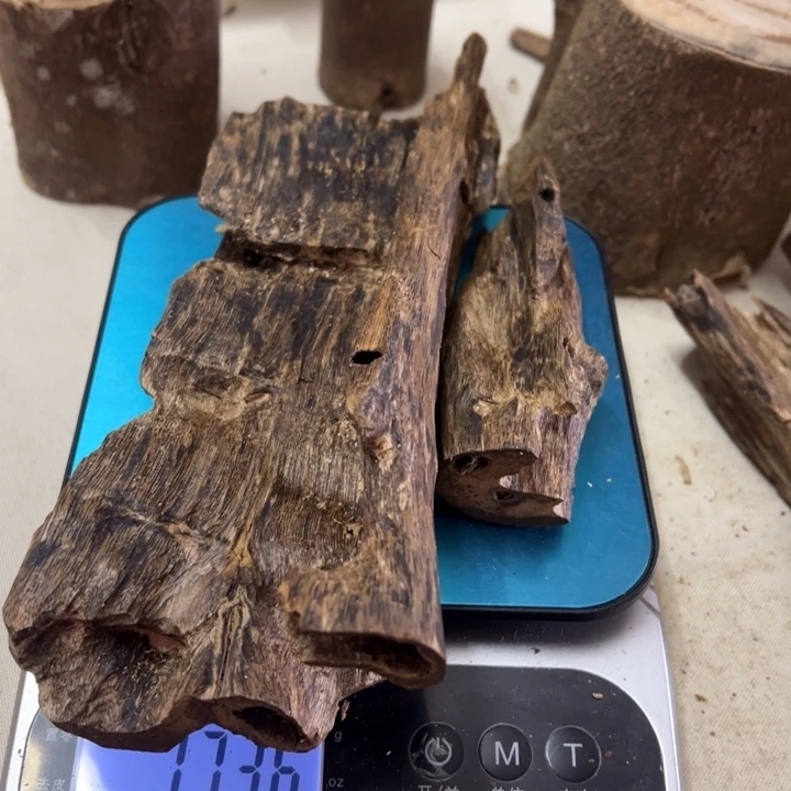 沉香碎屑沉香沉香虫漏，多样性发一