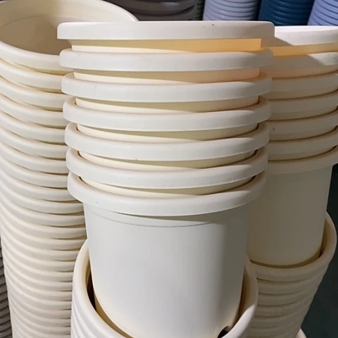 树脂四季3号6个带托米黄