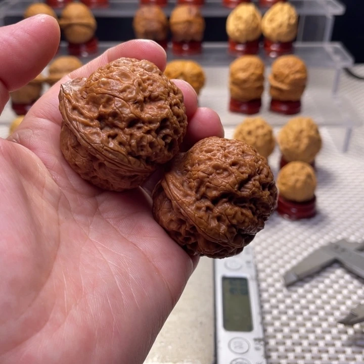 文玩核桃把件16金蟾王