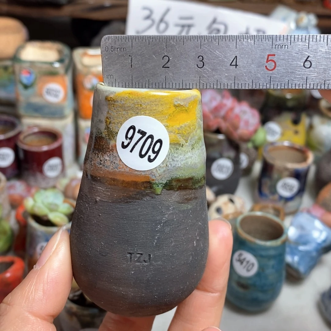 花盆拍5送一个小礼物