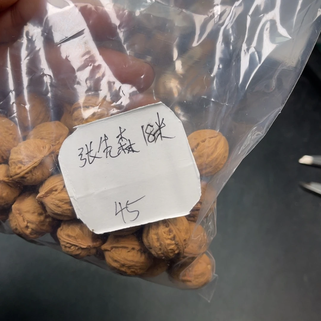 张***森野生小核桃2包18米