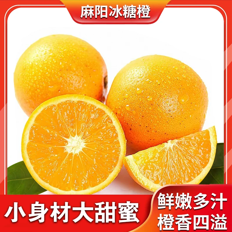正宗麻阳冰糖橙新鲜甜橙子现摘现发当季皮薄肉厚
