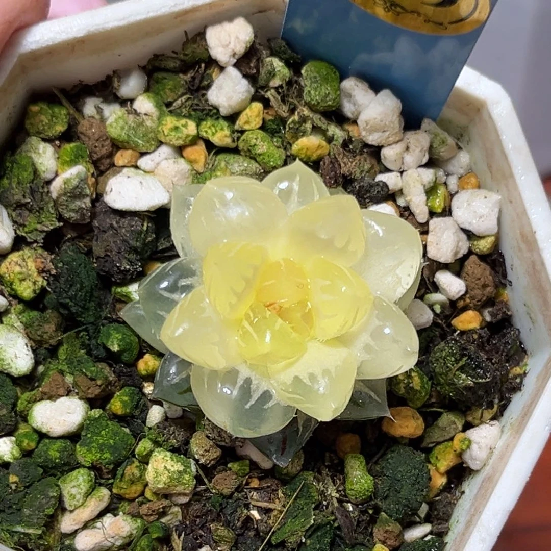 恭喜发财大吉大利659