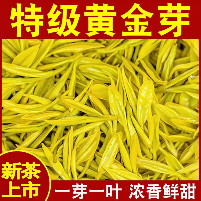 2025新茶明前黄金芽特二星特好级品正宗1芽1叶高档黄金叶茶批农发