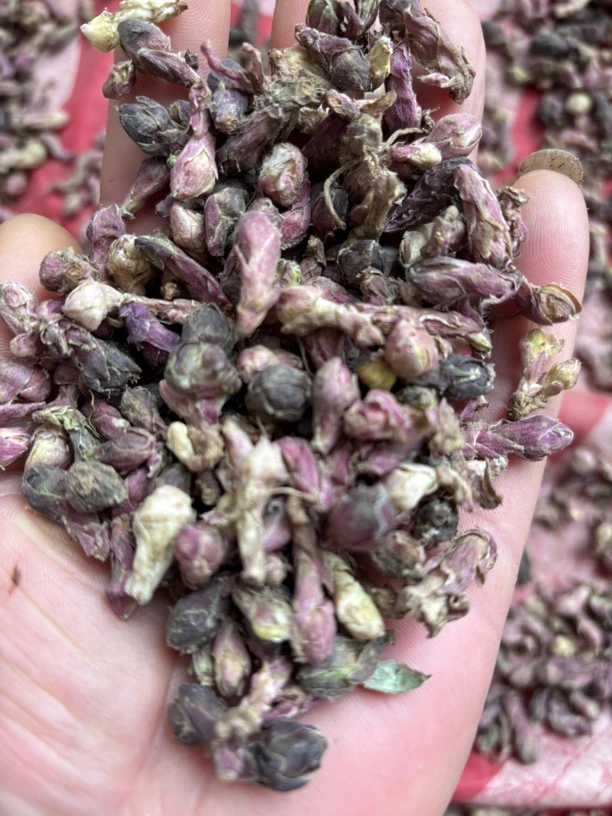 甘肃定西野生款冬花