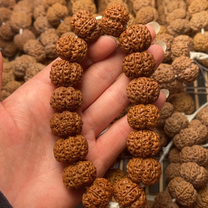 菩提尼泊尔大金刚爆肉梁龙牙梅花20