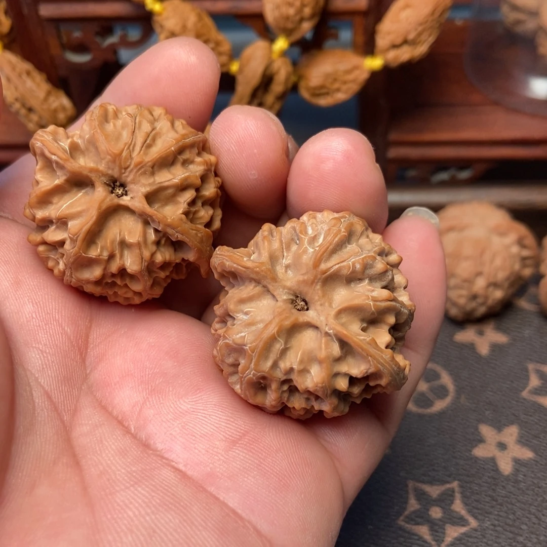 来***叶核桃全品无动无修苹果园40