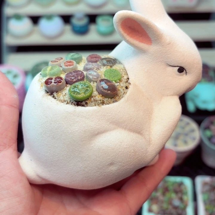 零下地区记得拍保温箱7026