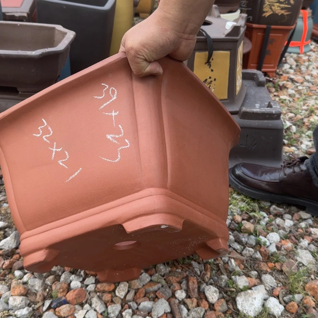 紫砂花盆花盆盆景盆栽