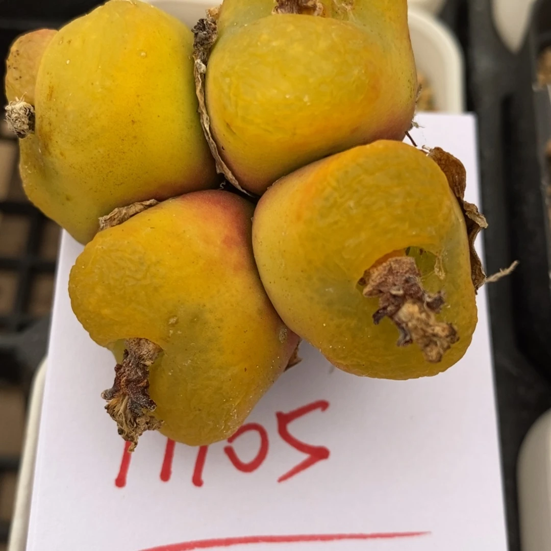 _****?11105一个一个一个