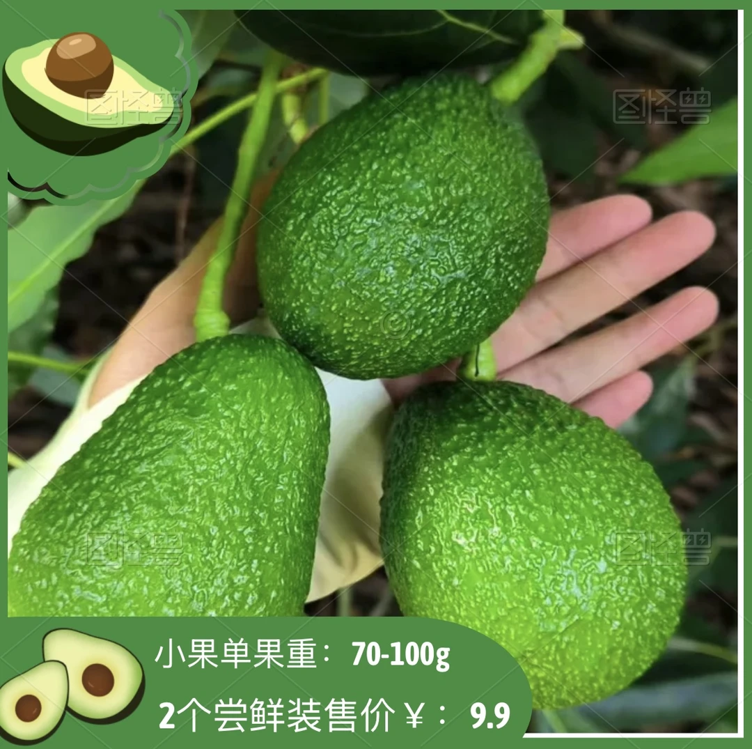 哈斯牛油果2个尝鲜装/孟连/哈斯/牛油果