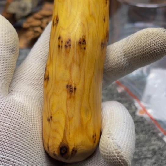 柏木（崖柏）崖柏12