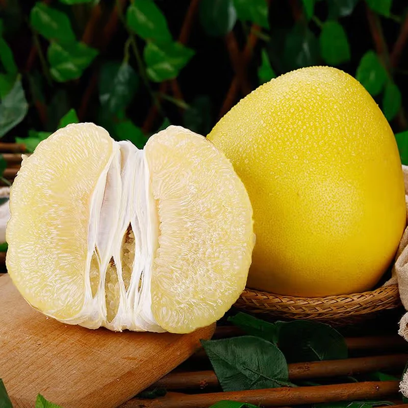 福建白心柚8.5斤 新鲜采摘酸甜可口