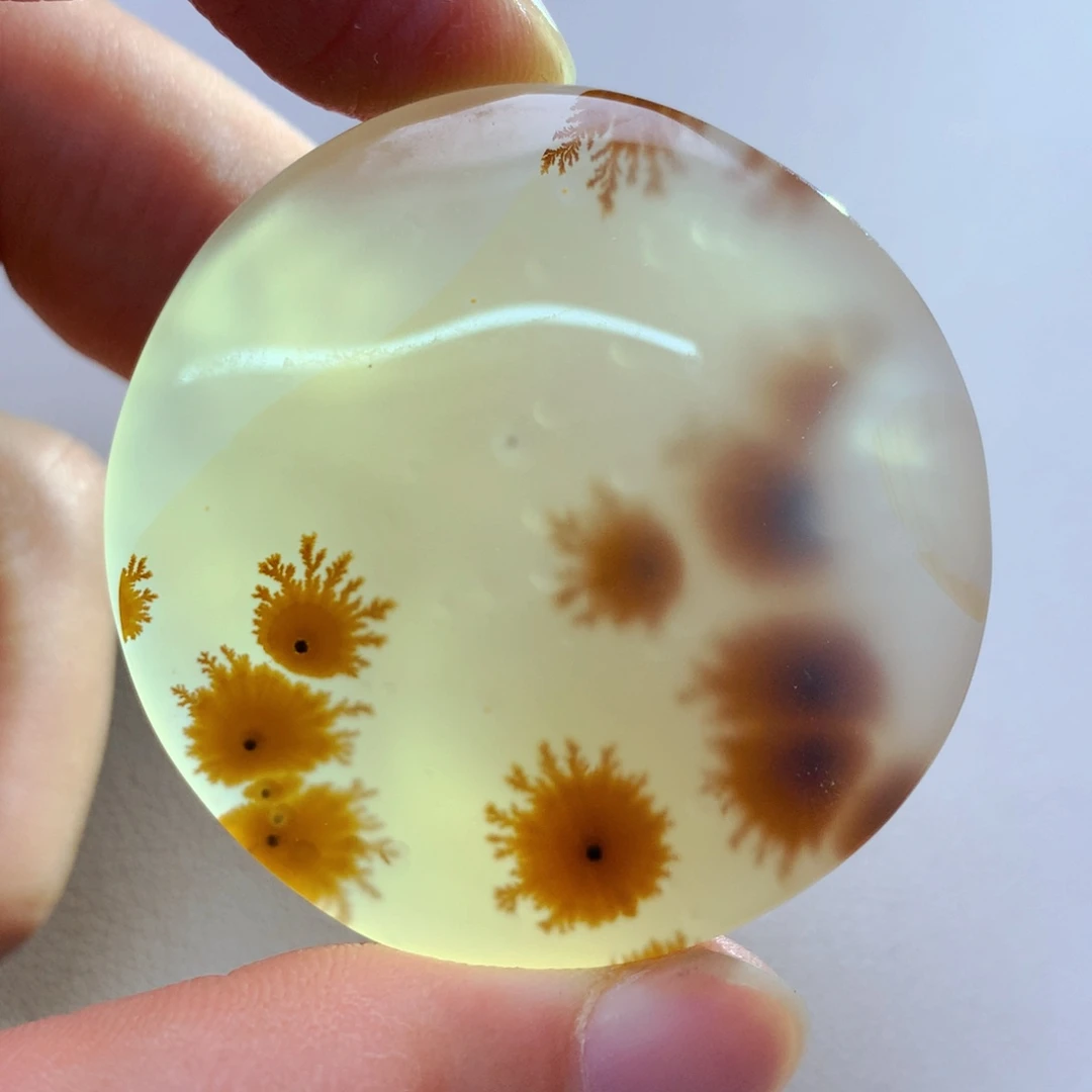 平***宙玛瑙/玉髓颈饰未镶嵌