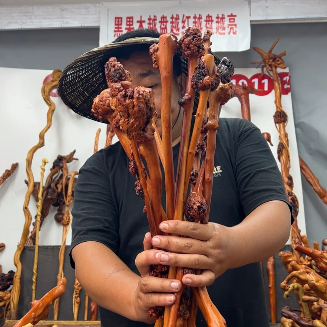 思***兔黑果木其他黑果木275