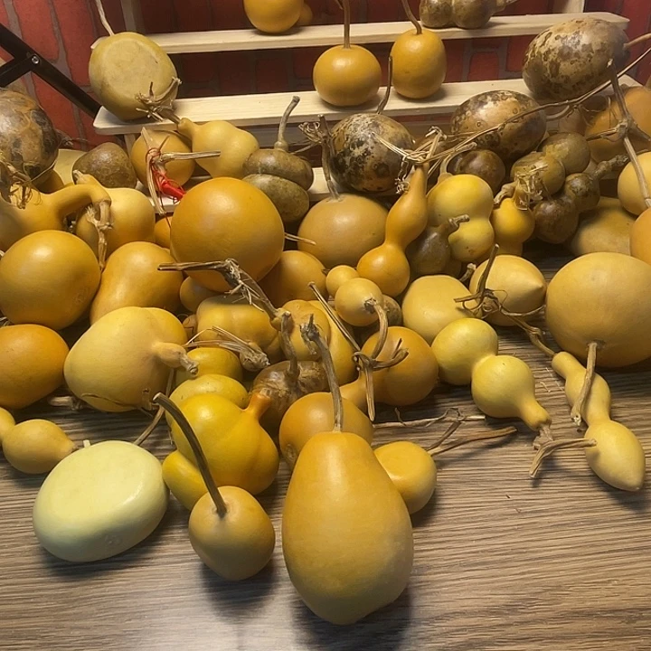 爱***子羊羔毛哈哈哈哈哈哈哈哈哈