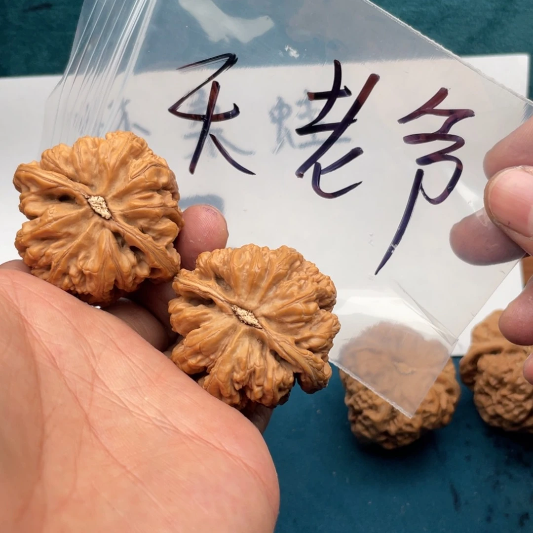 核桃手串/手链W648648496469649
